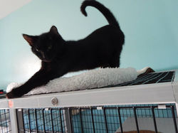 14980646_1013612488785523_9076614571281790650_n