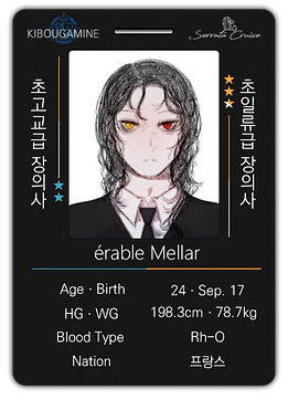 멜라재발급증.png
