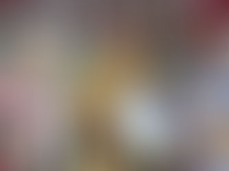 Audiensi ASLABKESDA dengan ADINKES