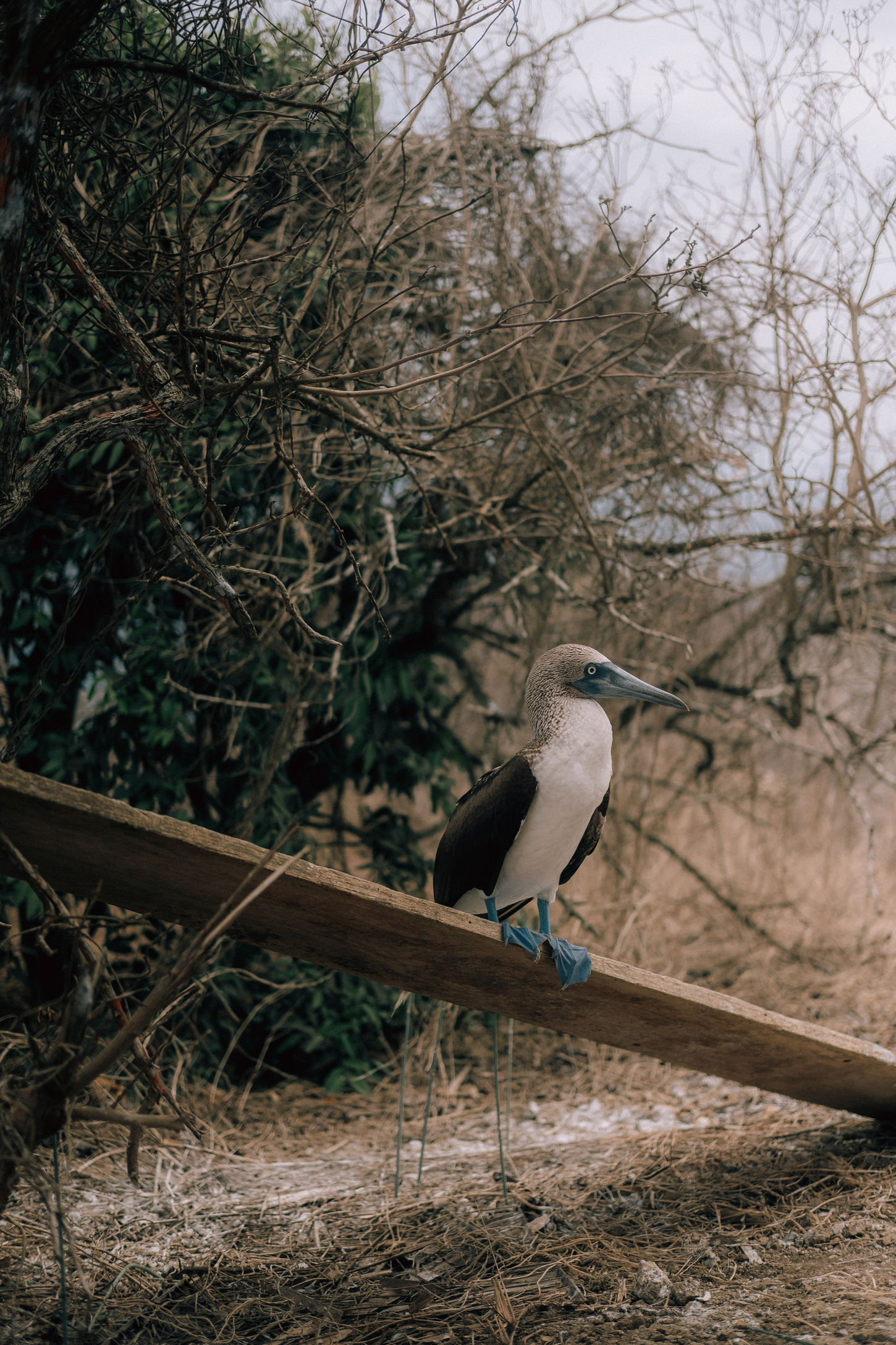 DSCF8560.jpg