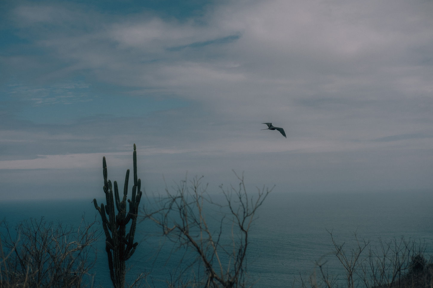 DSCF8554.jpg