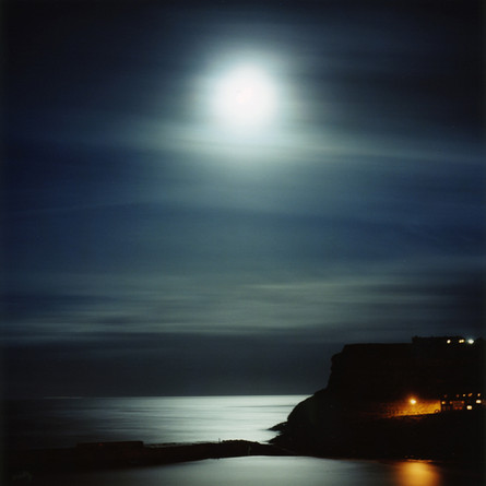 _Whitby_(moonlight)_2010©LizaDracup.jpg