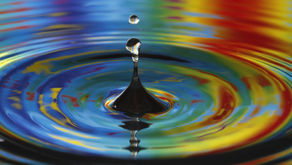 The Ripple Effect of a Data Breach