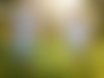 Scott & Karla engagement shoot