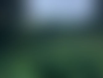 Social Entrepreneurship and Sustainability in the Coffee Industry