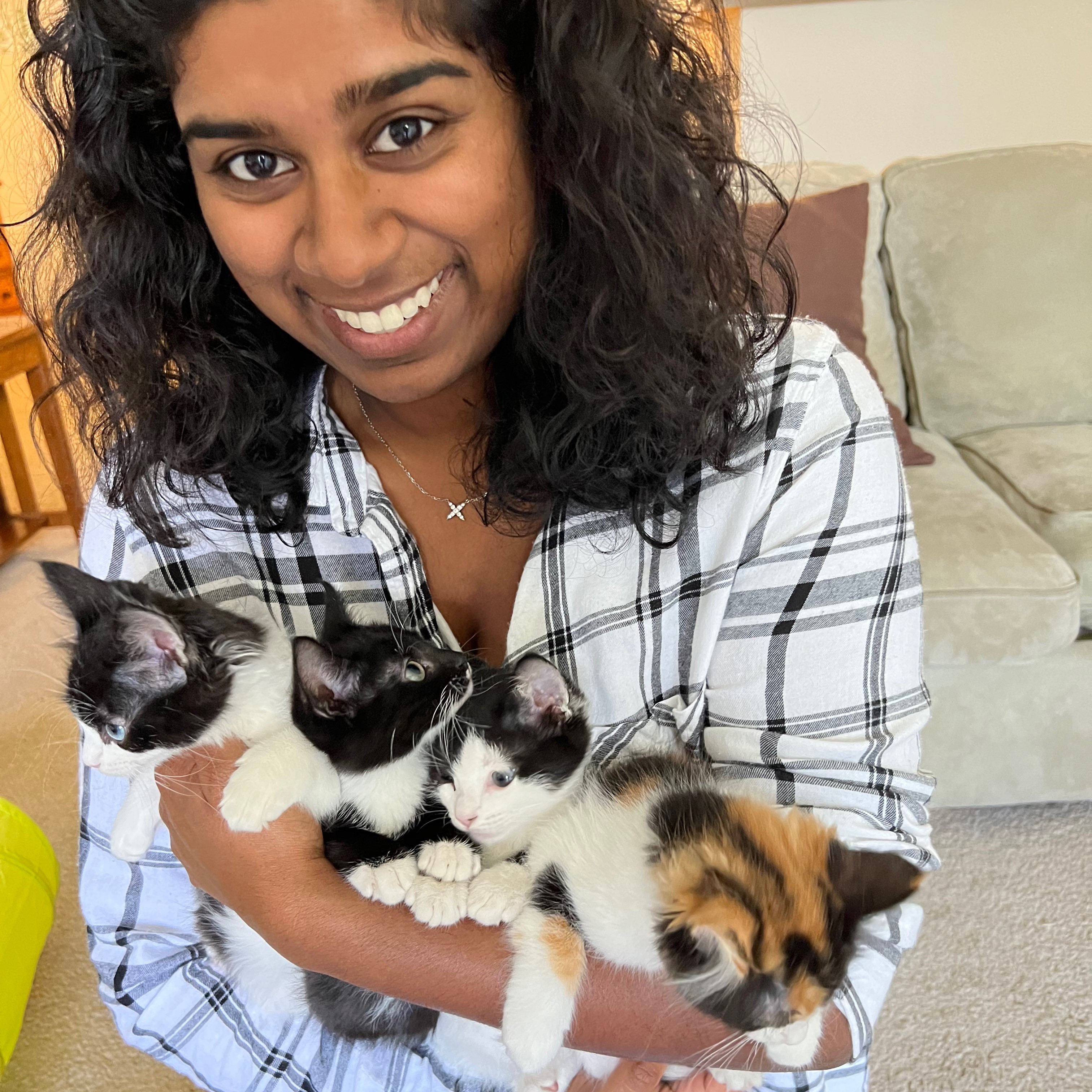 cat-sitters