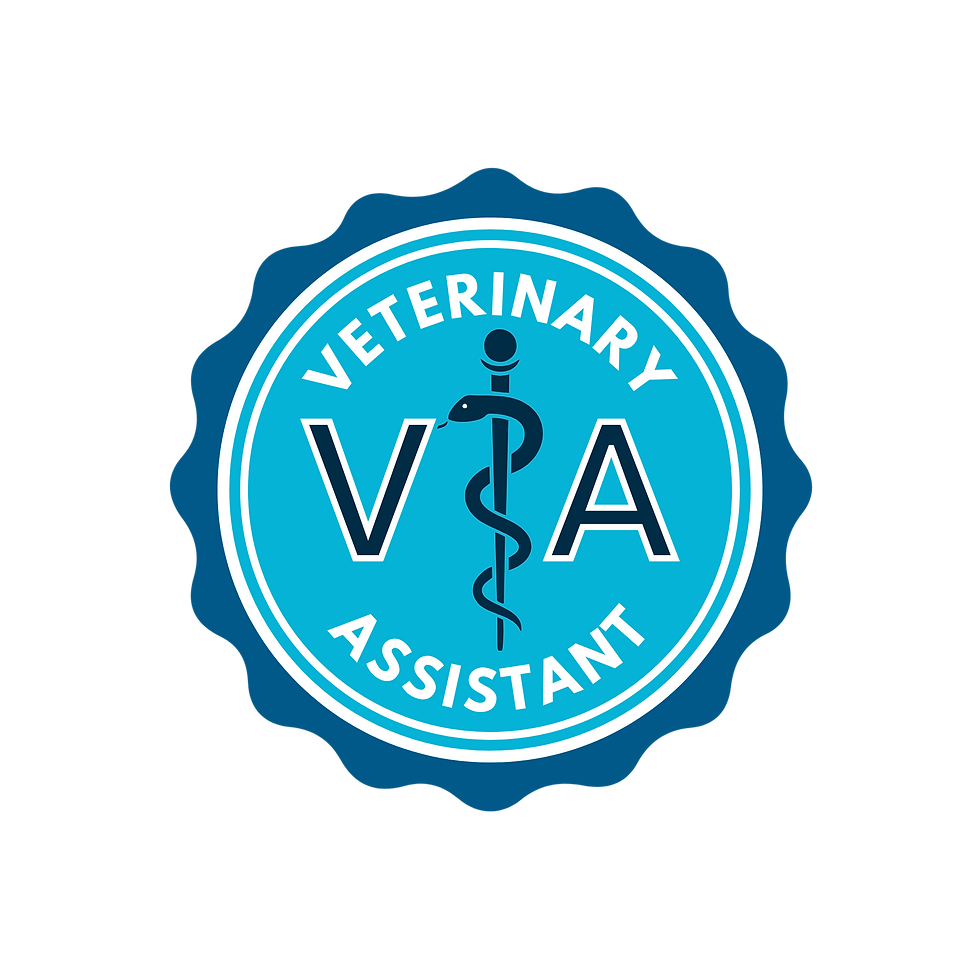 VA Badge.png