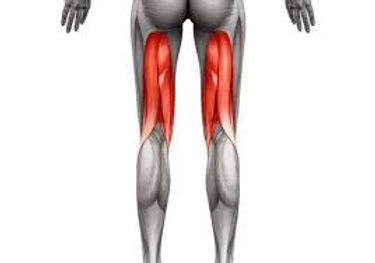 中学生 高校生アスリート必見その2 太もも裏の肉離れに悩まないために行ってほしいこと トレーニングを中心に 中学生 高校生アスリート必見その2 太もも裏の肉離れに悩まないために行ってほしいこと トレーニングを中心に