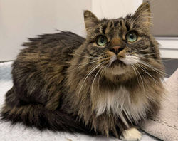 591244970_830647919833495_2693700846003617664_n_edited