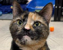 651555422_1277300697659243_5366878447301608395_n_edited