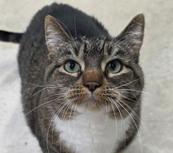 590902532_1793907771258883_5036630487565904503_n_edited