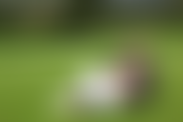 Tashana & Brandon's Perry Park Country Club Wedding, Larkspur Colorado