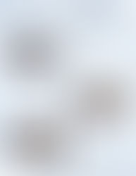 Holiday Session Pricing