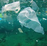 Plastic in the sea
