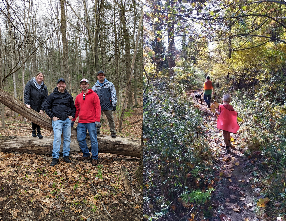 Volunteer Invasive Plant Removal at Glen Run