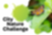 City Nature Challenge 2026