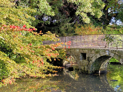 Altamont Gardens in the Fall