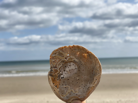 A Day in Curracloe Beach