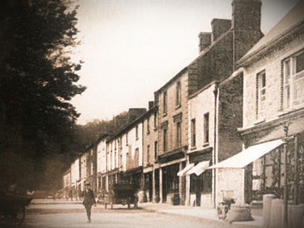 Discover Your Roots - Family History Search