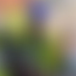 Reaching Beyond the Bricks