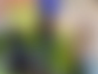 Reaching Beyond the Bricks