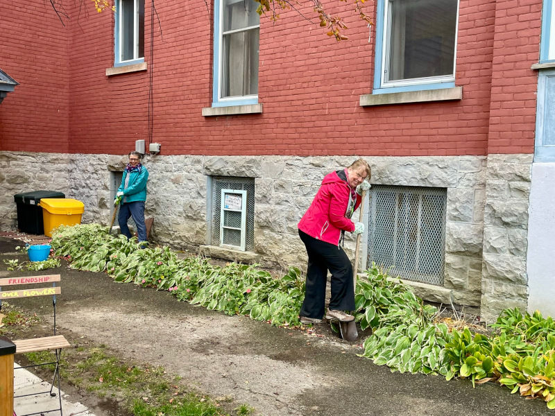 Irene and Laurie divided hosta plants that have flourished since 2020. The divisions were transplanted into brand new garden beds.