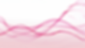 PINK CANVAS V1.png