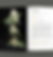 Thumbnail: Higher: The Lore, Legends, and Legacy of Cannabis