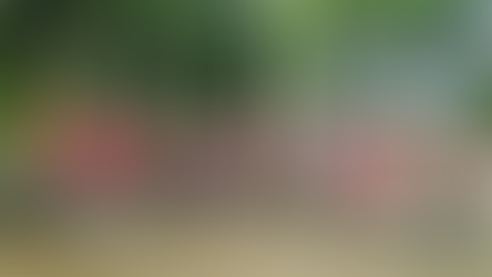 Moo Pa ("Wild Boar") Soccer team pictured before getting trapped in Tham Luang