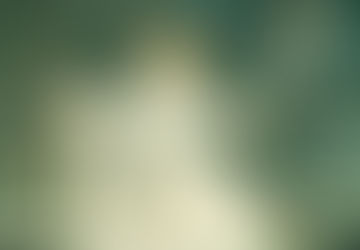 Dionysus riding a panther mosaic