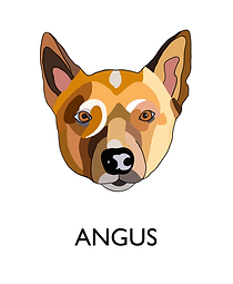 Digital Dog Portrait