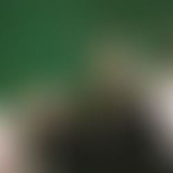 Sharp Objects – An Exploration of the Journey from the Book to the Small Screen