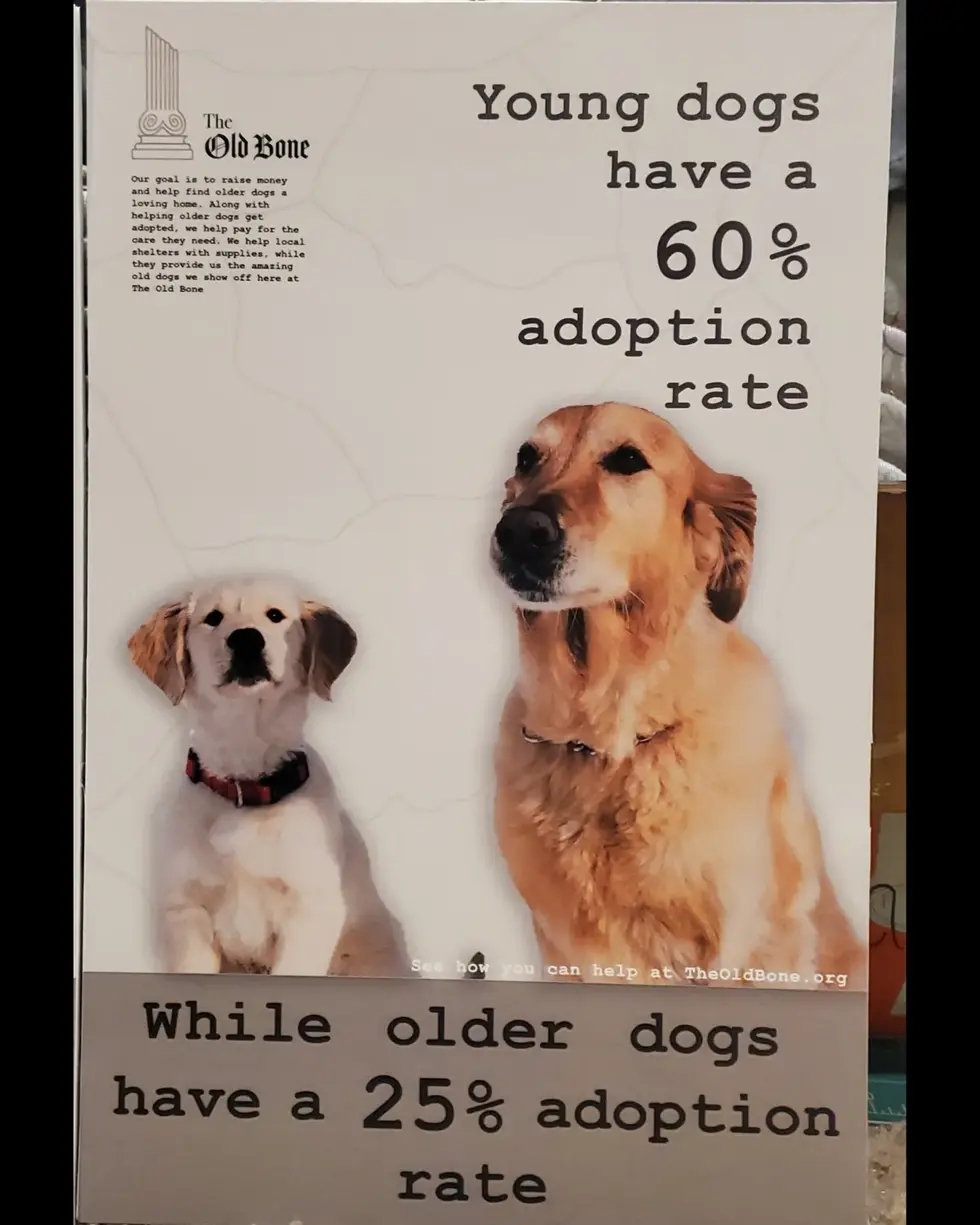 Golden Poster