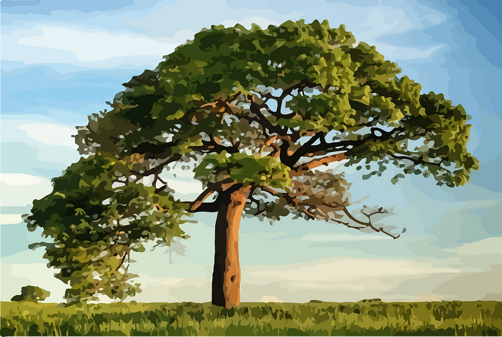 tree_edited_edited.png