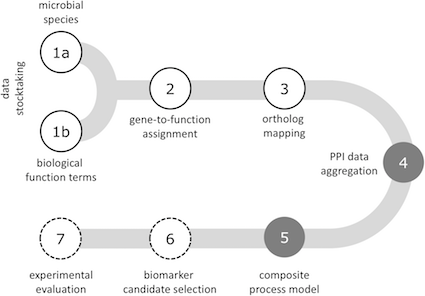 In this new paper ITV collaborated with Emergentec to describe the protein-protein interactions that