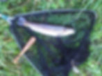 IMG00193-20110928-1153.jpg