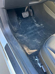 348358400_1611681595978213_8372507497680502890_n (1).jpg