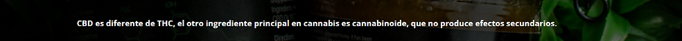 Kalo2.PNG