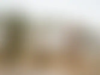 Temples prove they’re worth worshipping with 'Exotico'