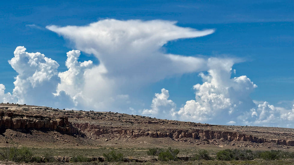 The spirit of Yoda watched over us during our visit...