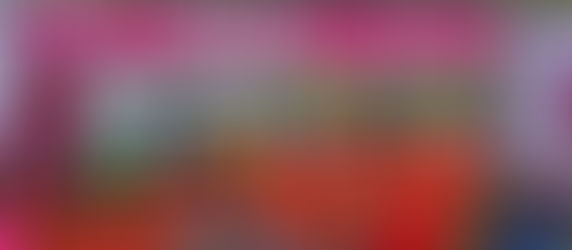 Acht Roadrunners beim 33. München-Marathon und in den USA