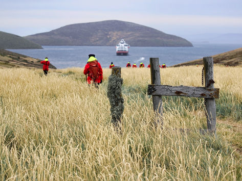 The Falkland Islands