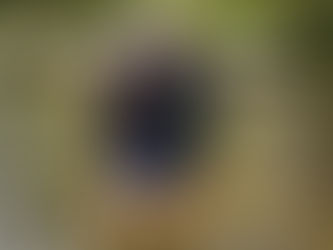 The Great River Road: Lake Itasca to St. Louis