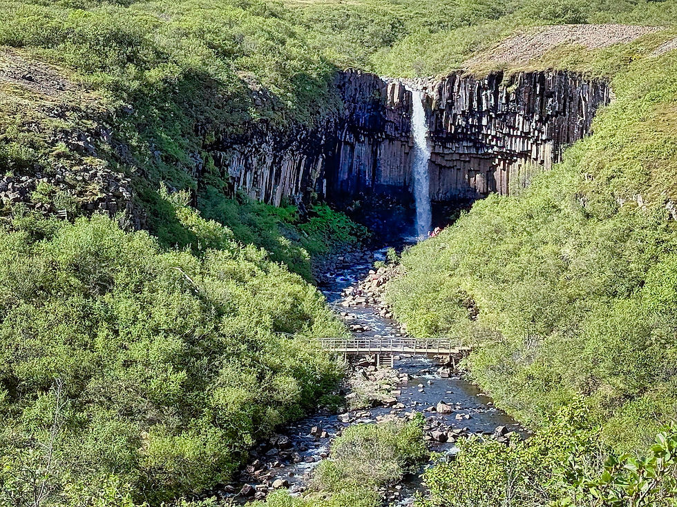 Svartifoss sits in a basin lined with basalt columns
