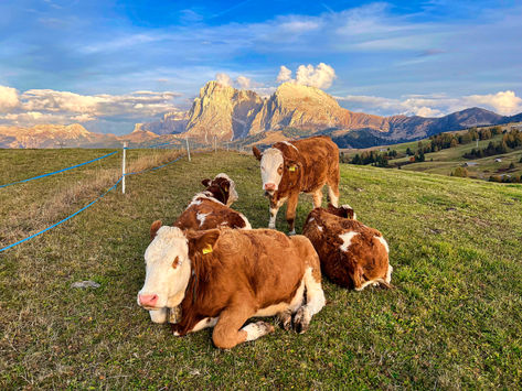 The Dolomites
