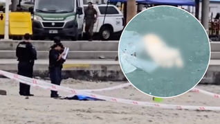 Investigan hallazgo de restos humanos en Playa Trocadero de Antofagasta: extremidades llevarían largo tiempo en el mar