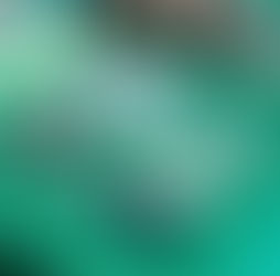Frustran ingreso de droga y dos celulares a la cárcel de Antofagasta mediante el derribo de un dron