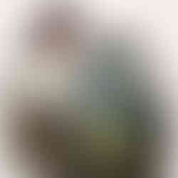 Botanical print envelope lining