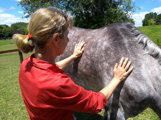 Reiki Healing