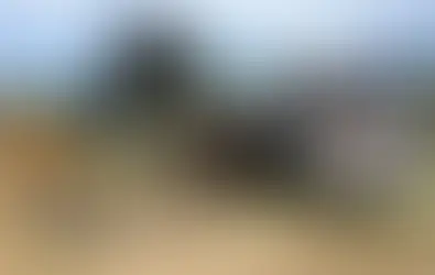 EARTH MOVING EXPERIENCE